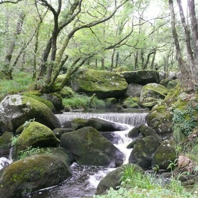 Site des Monts d'Arrée