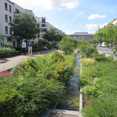 Espaces publics du centre-ville