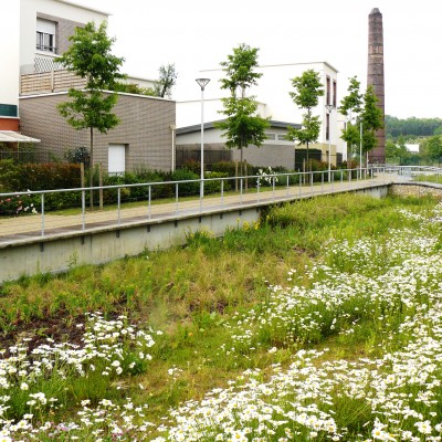 Coulée verte du quartier des Trois Rivières