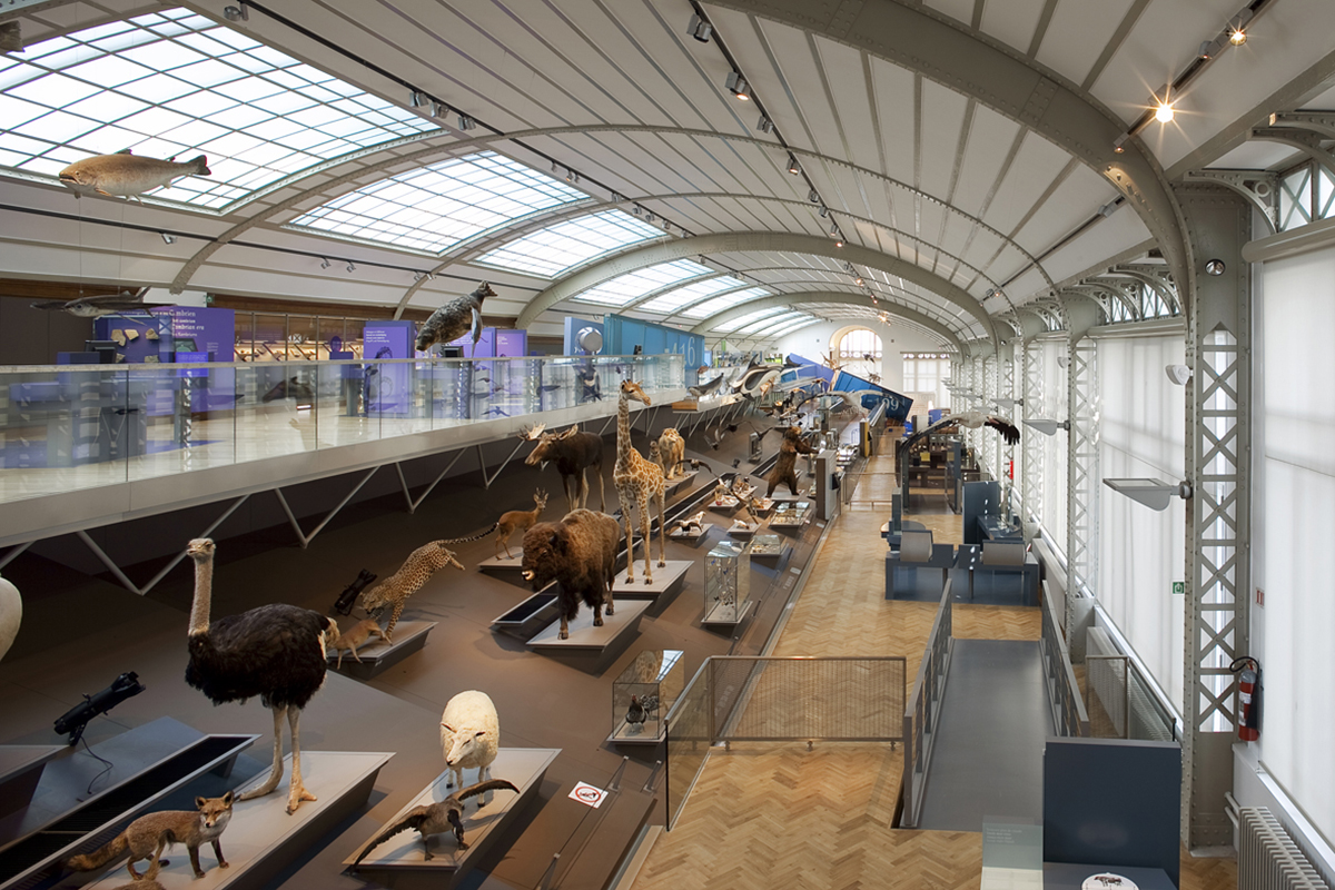 Galerie de l'Evolution - Muséum