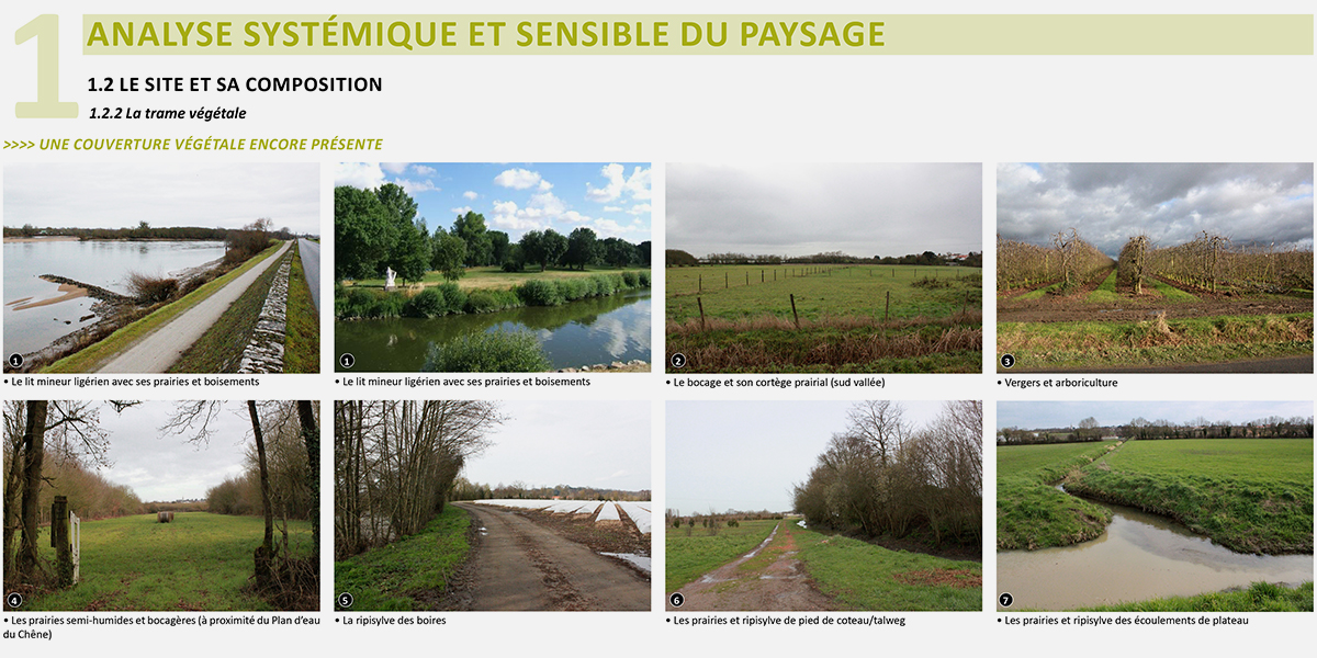 Etude de valorisation des paysages maraichers nantais