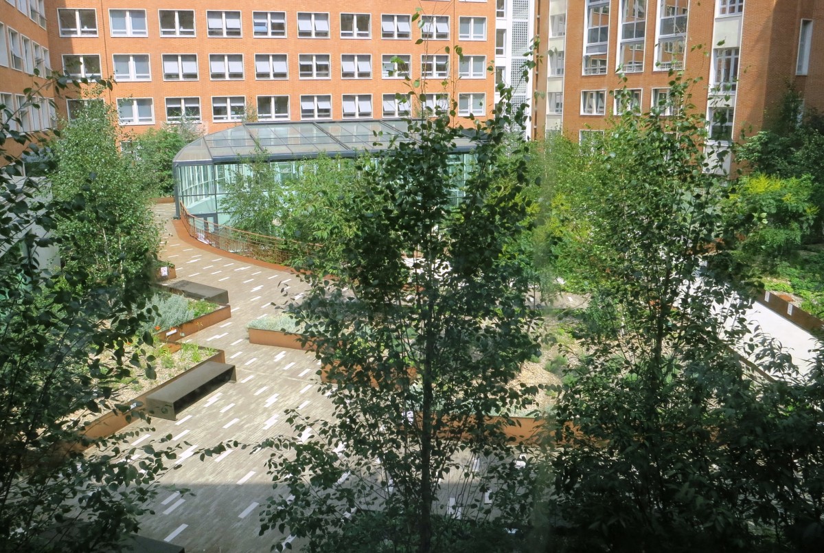 Ministère de la Santé -Jardin sur dalle