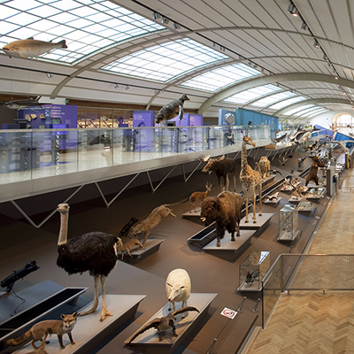 Galerie de l'Evolution - Muséum